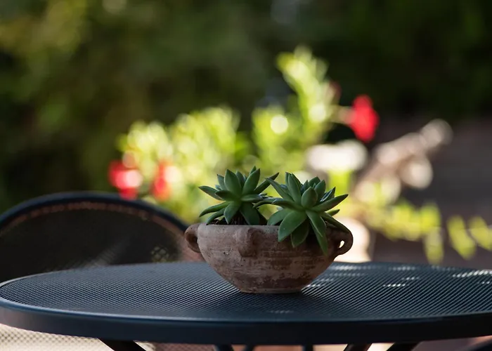 Agriturismo Il Colle Siena