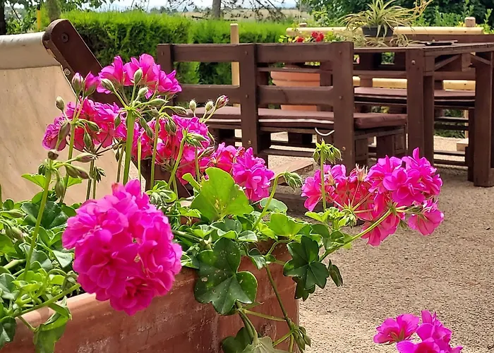 Il Colle Agroturismo *