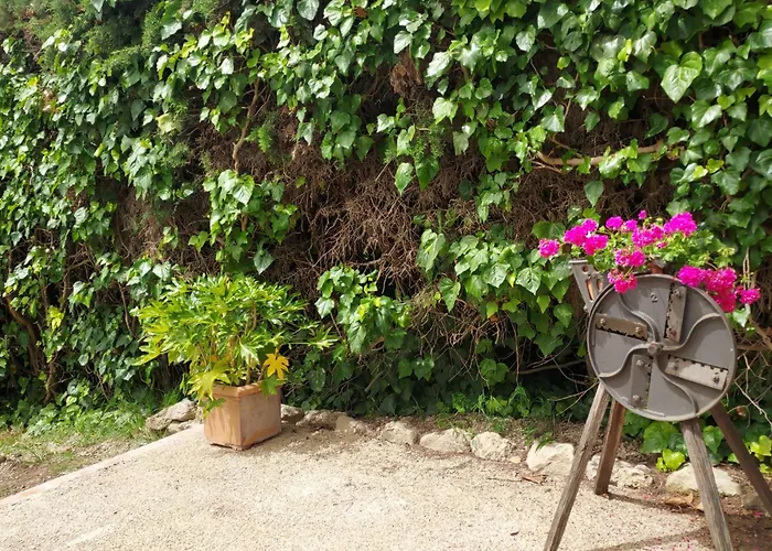 Agriturismo Il Colle Siena