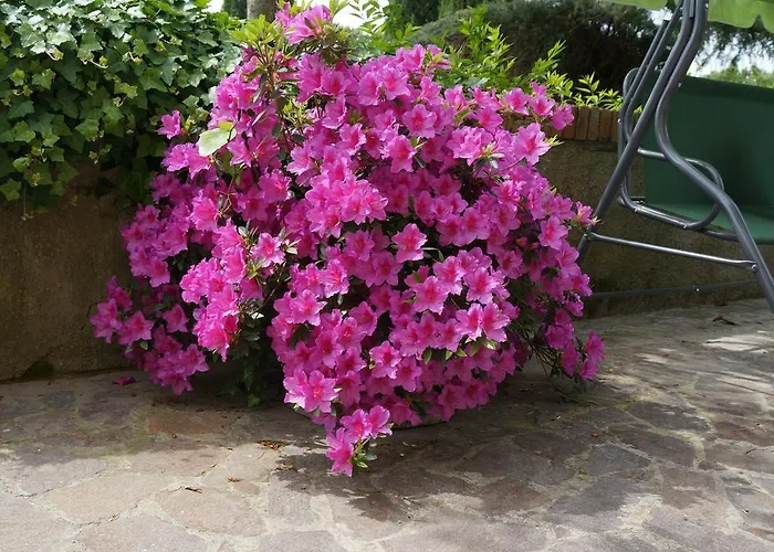 Il Colle Agroturismo Siena