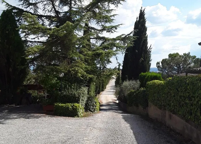 Farm stay Agriturismo Il Colle Siena