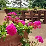 Agriturismo Il Colle Фермерский дом *