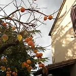 Фермерский дом Agriturismo Il Colle Сиена