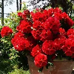 Agriturismo Il Colle Фермерский дом Сиена