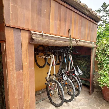 Agriturismo Il Colle * Siena