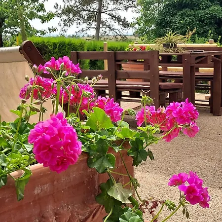 Agriturismo Il Colle Farm stay *