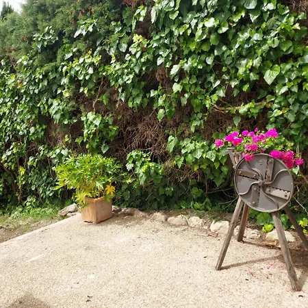 Agriturismo Il Colle Siena