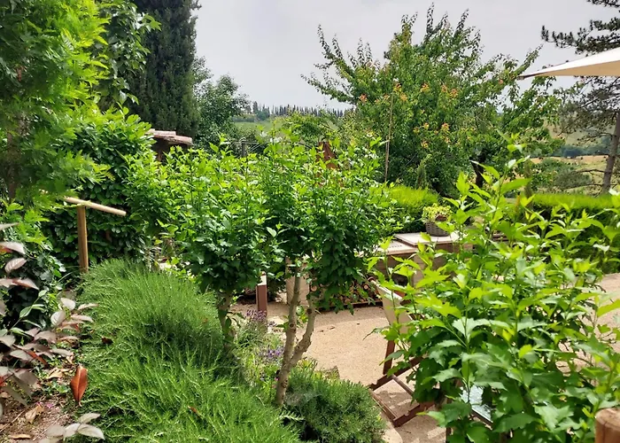 Agriturismo Il Colle Farm stay *