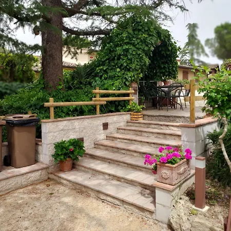 Farm stay Agriturismo Il Colle *