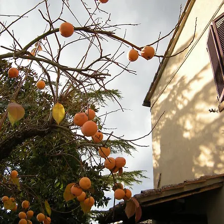 Farm stay Agriturismo Il Colle Siena