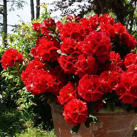 Agriturismo Il Colle Farm stay Siena