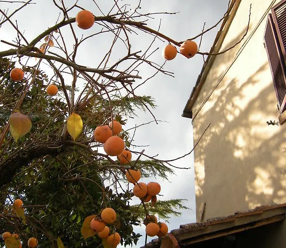 Alojamento de Turismo Rural Il Colle Siena